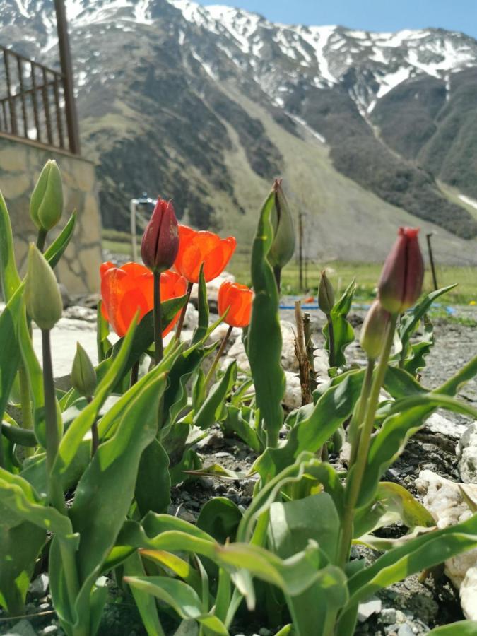 Hotel Diamond Kazbegi Exteriör bild